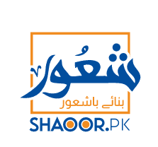 Shaoor Logo